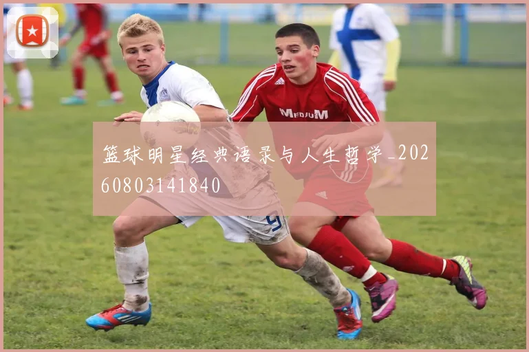 篮球明星经典语录与人生哲学_20260803141840